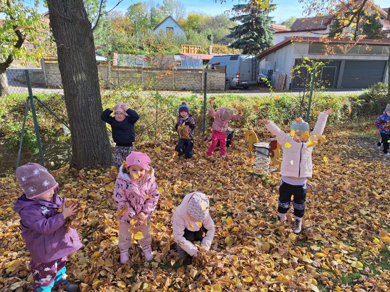 Včelky - Barevný podzim II