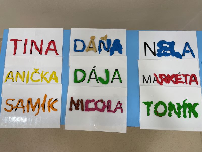 Včeličky tvoří své portfolio