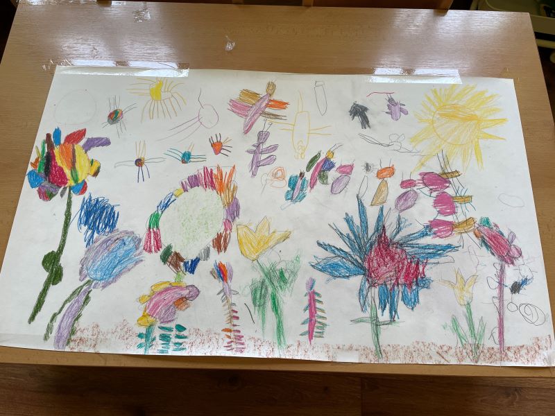 Z malinkého semínka