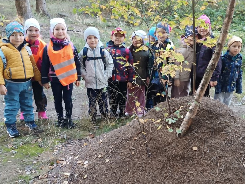 Výlet Motýlků na lanový park
